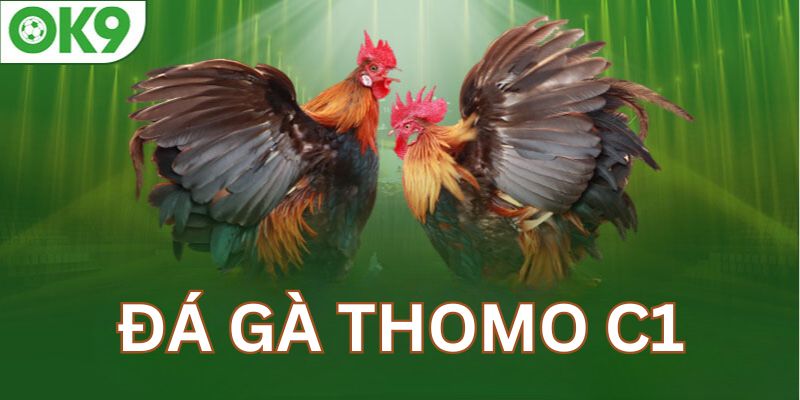 Đá gà online thomo C1 là thể lại hấp dẫn bạn nên thử qua 