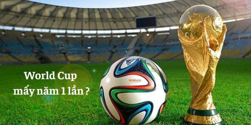 World cup mấy năm 1 lần giải đáp thắc mắc